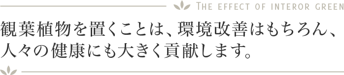 観葉植物を置くことは、環境改善はもちろん、人々の健康にも大きく貢献します。