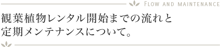 観葉植物レンタル開始までの流れと定期メンテナンスについて。