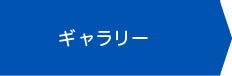 観葉植物ギャラリー