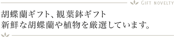 胡蝶蘭ギフト、観葉鉢ギフト　新鮮な胡蝶蘭や植物を厳選しています。