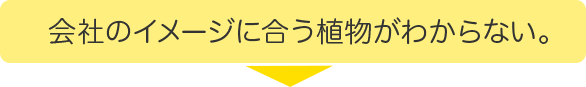 会社のイメージに合う植物がわからない。