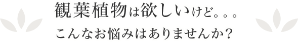 観葉植物は欲しいけど･･･こんなお悩みはありませんか？