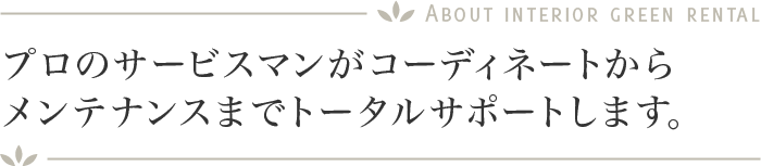 プロのサービスマンがコーディネートからメンテナンスまでトータルでサポートします。