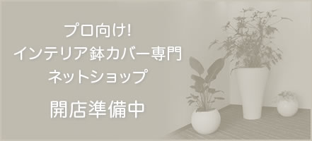 プロ向け！インテリア鉢カバー専門ネットショップ開店準備中