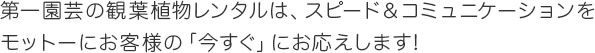 第一園芸の観葉植物レンタルは、スピード＆コミュニケーションをモットーにお客様の「今すぐ」にお応えします！